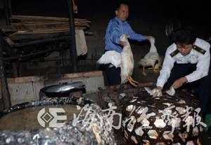 顽固地下产业链——海口“沥青鸭”屡禁不止，油迹重重风险凸显
