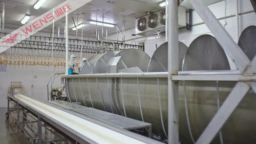 鲜品单日销量突破80万只，转型升级再传喜讯 禽类屠宰加工迈向高质量发展新阶段