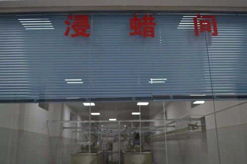 富宁首家全链条禽类加工厂试运行，每小时屠宰能力达2000只、引领产业升级