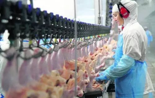 贸易提醒 进口巴西肉类需谨慎，聚焦禽类屠宰加工环节